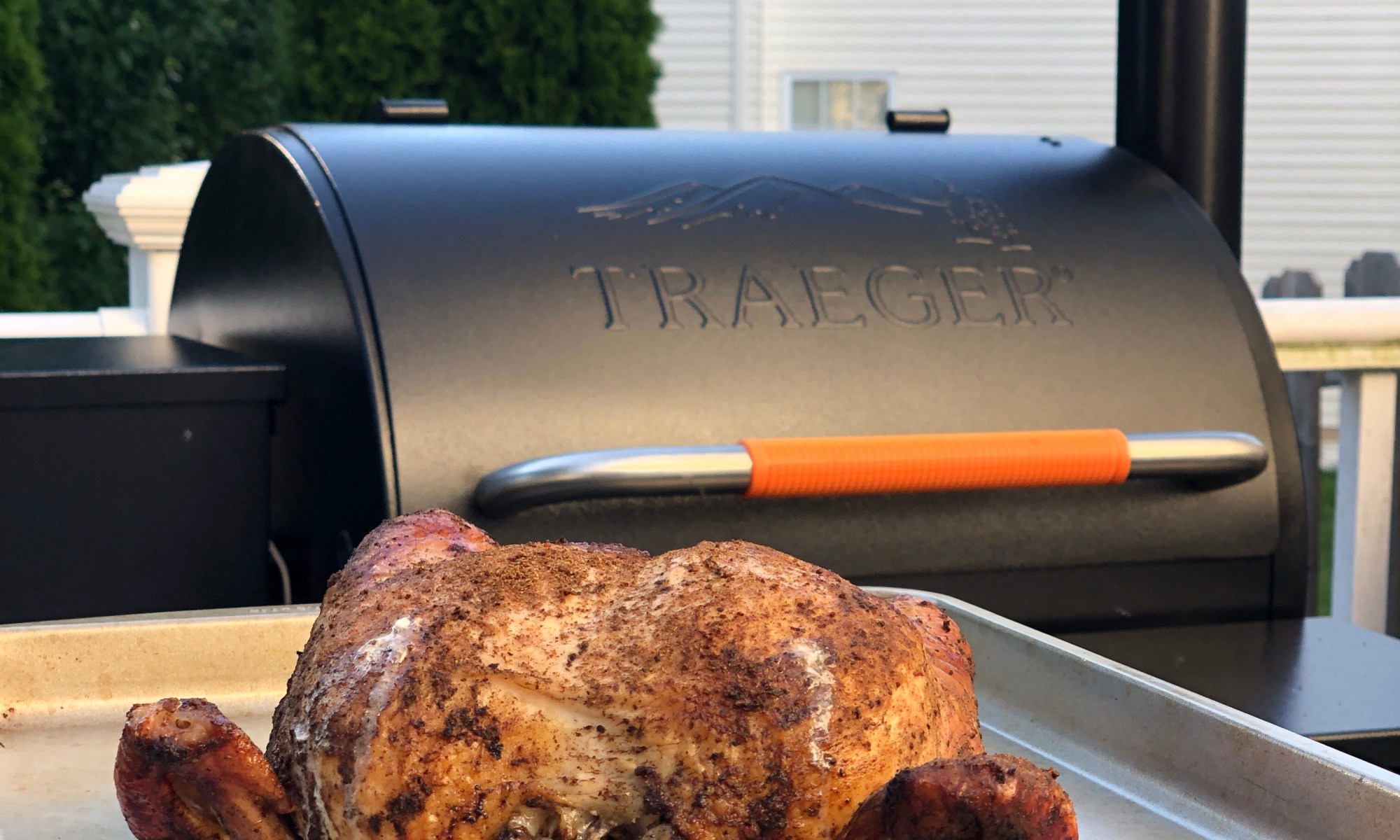 Jerk Chicken made on the Traeger Renegade Pro