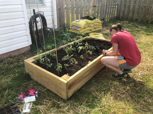 Danielle planting plants in raised bed