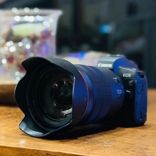 Canon EOS R with RF 24-105mm f4 L Lens